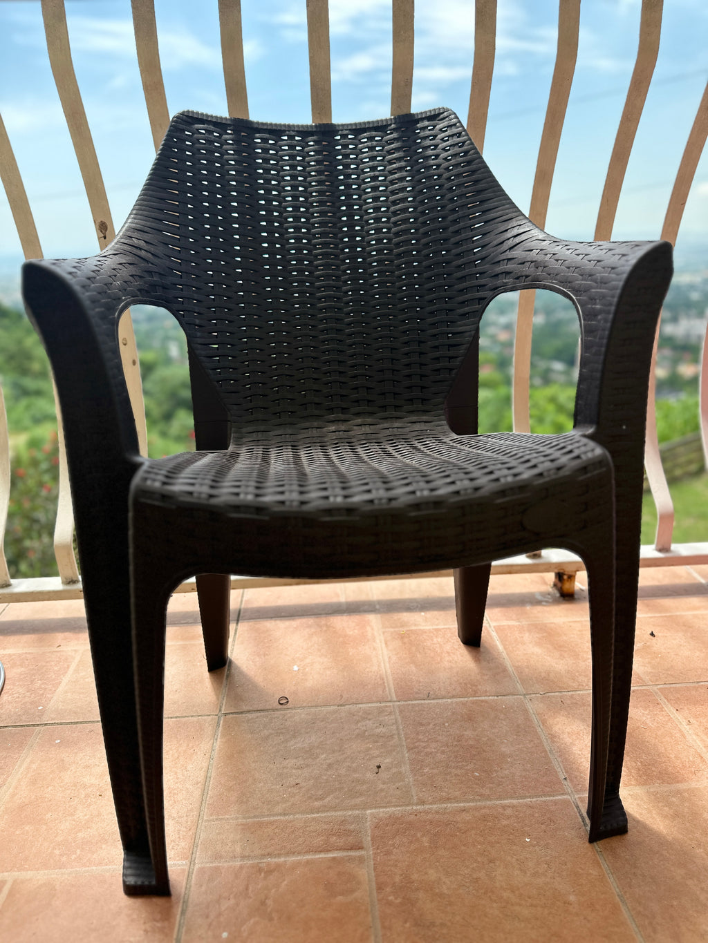 Modern Rattan-Style Armchair